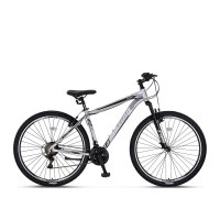 Motion Mountainbike 29 Zoll Alu Grau Modell 2023