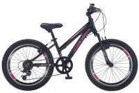 Salcano NG950 20 Zoll Girl