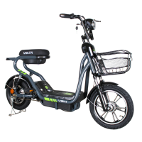 Electroscotter Best-Bike